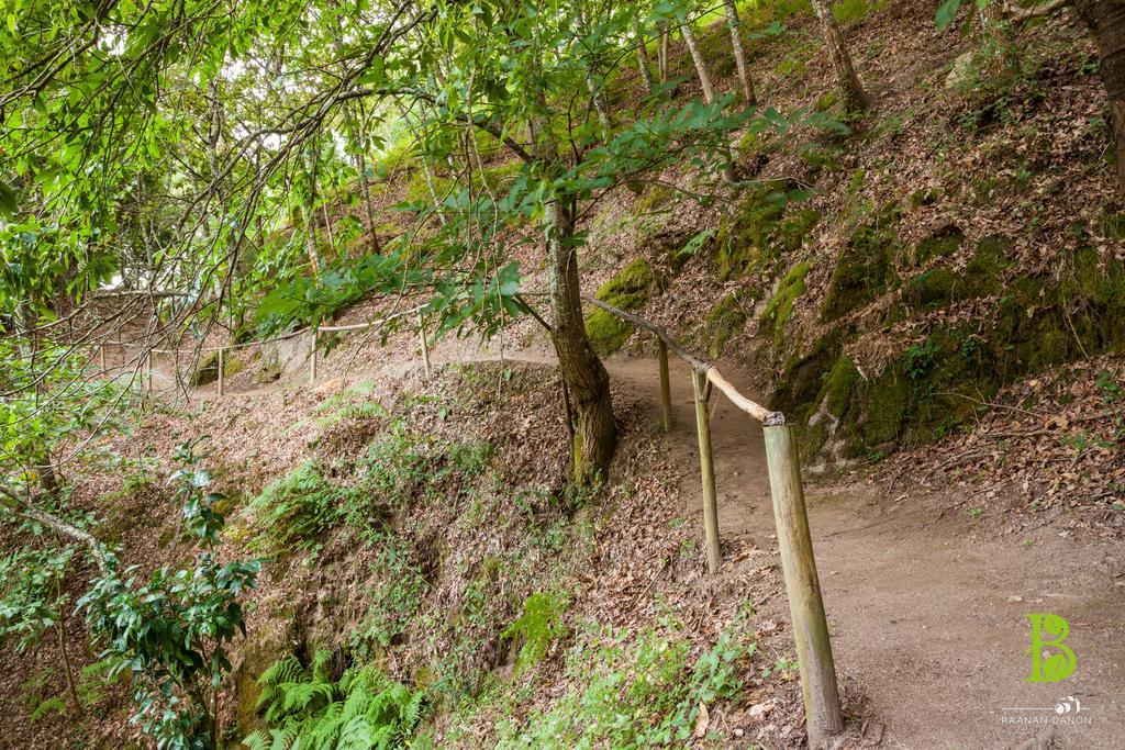 Quinta Da Bouca - Agroturismo Pacos de Gaiolo 客房 照片
